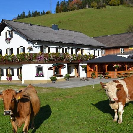Bio Bauernhof Moas Villa ลุนซ์ อัม ซี ภายนอก รูปภาพ