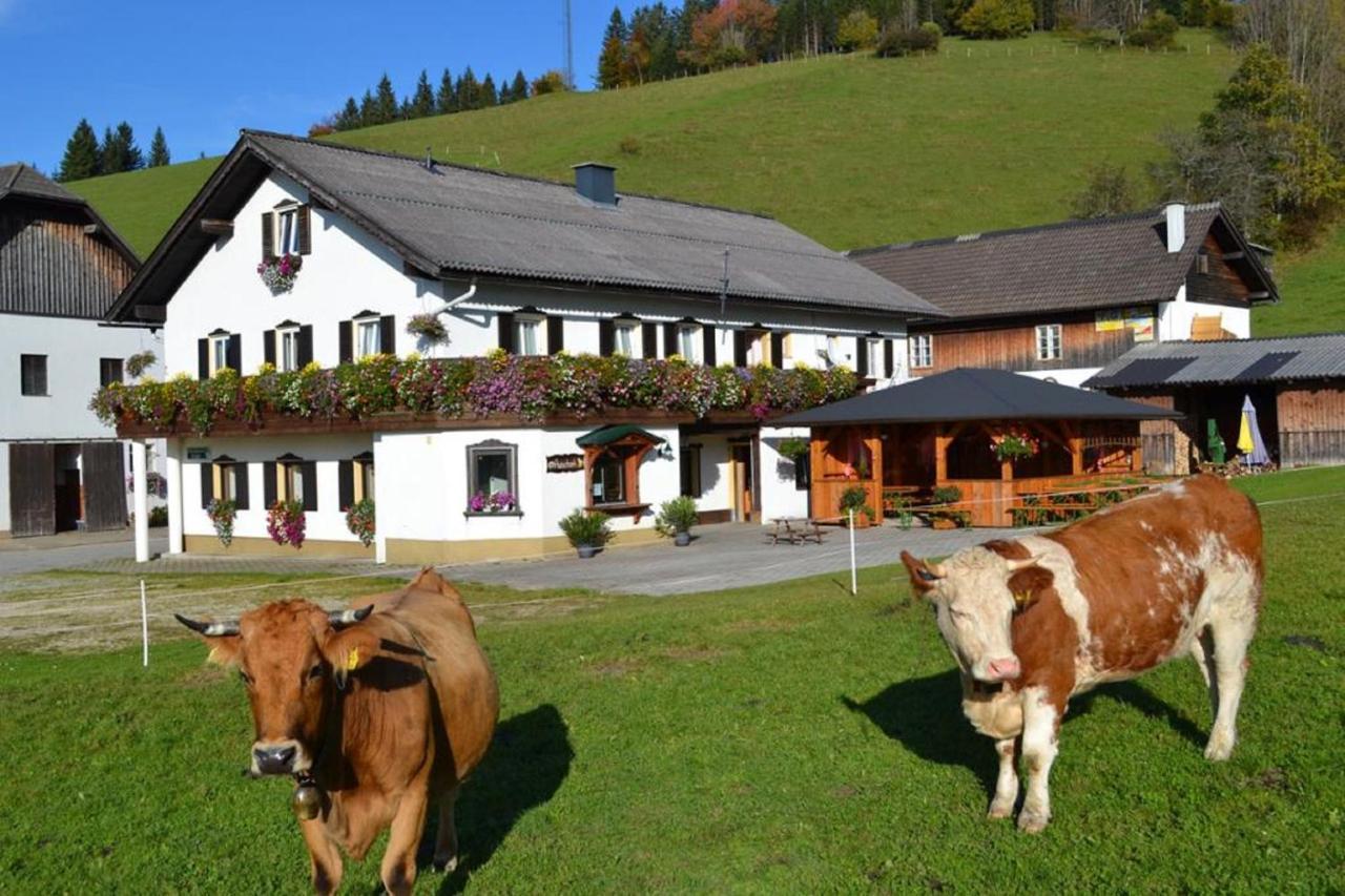Bio Bauernhof Moas Villa ลุนซ์ อัม ซี ภายนอก รูปภาพ
